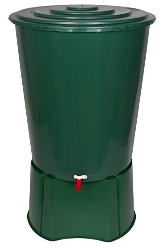 XXL Regentonne – 310 Liter Kapazität – Robuster Monoblock Stand | Ideal für Gartenliebhaber und umweltbewusste Hausbesitzer | Wassersparende Lösung für die Bewässerung von Pflanzen und Rasenflächen