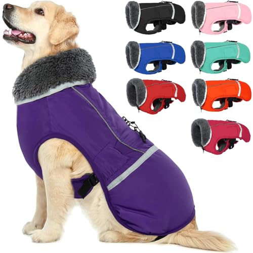 Hundejacke Winter – Schützender Hundemantel – Wasserdicht und mit Bauchschutz – Ideale Hundebekleidung für kleine Hunde – Stilvoll und funktional für kalte Tage – Lila S