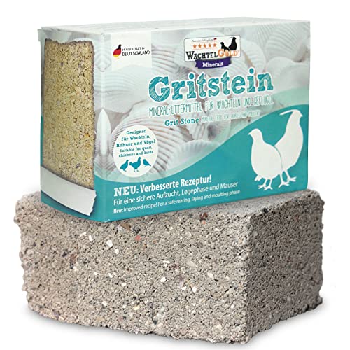 Optimales Wohlbefinden für Geflügel – federgold Gritstein 1kg | Mineralstoffreiches Futtermittel für Wachteln, Hühner, Tauben und mehr | Unterstützt die Gesundheit und Legeleistung