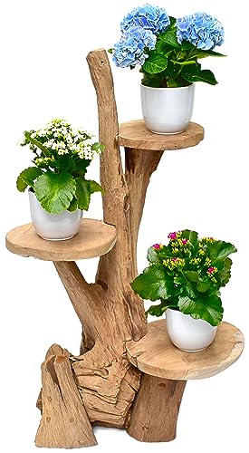 Stylischer Teak Blumenständer – Platzsparend und stabil – Perfekt für Pflanzenliebhaber und Deko-Enthusiasten – Bringt natürliche Eleganz in jede Ecke deines Zuhauses – Jetzt erhältlich bei Stephans Möbelbörse!