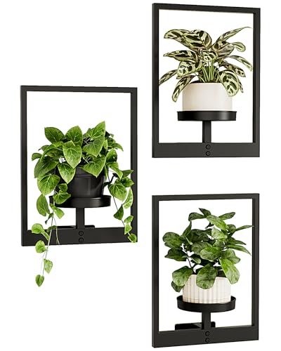 Bringen Sie Ihre Zimmerpflanzen zum Strahlen – Moderne Wandbehang Pflanzgefäße 3er Set für Wohnzimmer, Büro & Flur. Metallrahmen für stilvolle Deko und Platzersparnis. Perfekt für Pflanzenliebhaber!