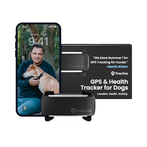 Maximale Sicherheit für deinen Vierbeiner – Tractive GPS Tracker Hund | 2025 Edition | Live-Ortung | Weglaufalarm | Aktivitätstracking | Gesundheitswarnungen | Bellverhalten | Empfohlen von Martin Rütter (Schwarz)