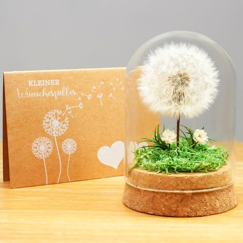 Pusteblume im Glas - Verzaubere deine Liebsten mit diesem besonderen Geschenk! Perfekt zum Geburtstag für Frauen, als Glücksbringer oder Deko Geschenk für die Freundin.