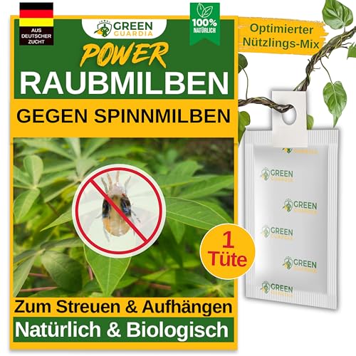 Effektive Biologische Raubmilben gegen Spinnmilben – Jetzt gegen Thripse vorgehen! – Für Zimmer- & Zierpflanzen sowie Cannabispflanzen – Umweltfreundlich und chemiefrei – 1x Tüte für schnelle Bekämpfung