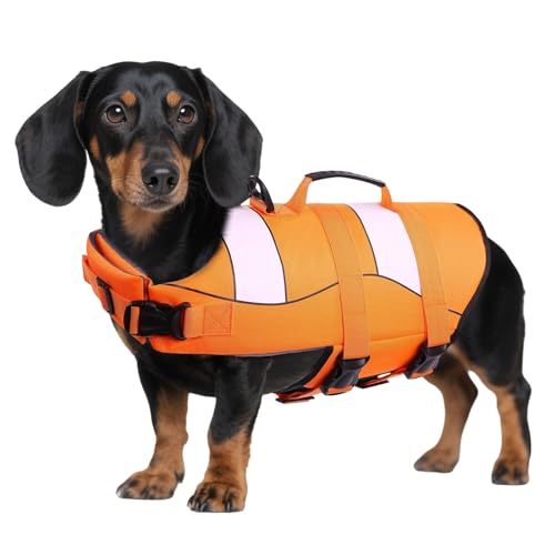 Sicherheit für deinen Vierbeiner – Verstellbare Hundeschwimmweste mit Rettungsgriff | Guter Auftrieb für XS-Hunde wie Dackel, Chihuahua, Französische Bulldogge und Labrador | Wasser-Sportstil für aktive Haustiere