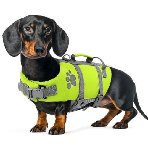 Sicherheit und Stil für Ihren kleinen Schwimmer – Queenmore Schwimmweste Hund XS | Reflektierend, verstellbar, mit Griff | Perfekt für Chihuahuas und kleine Hunde | Ideal für Kajakfahren