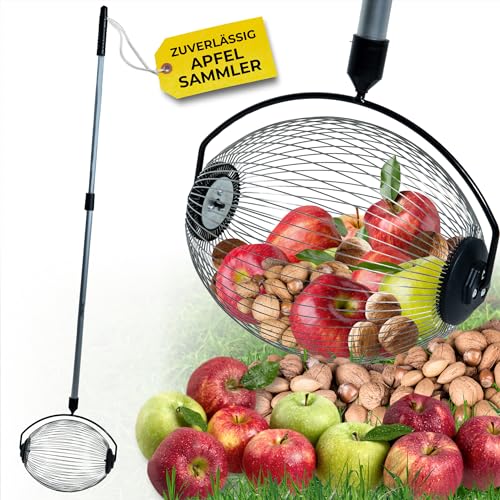 Nüsse und Obst mühelos sammeln – Effizienter Nusssammler für Walnüsse, Äpfel & Co. | Teleskopstange für einfaches Aufsammeln | Ideal für Hobbygärtner und Sammler | Praktischer Helfer im Garten