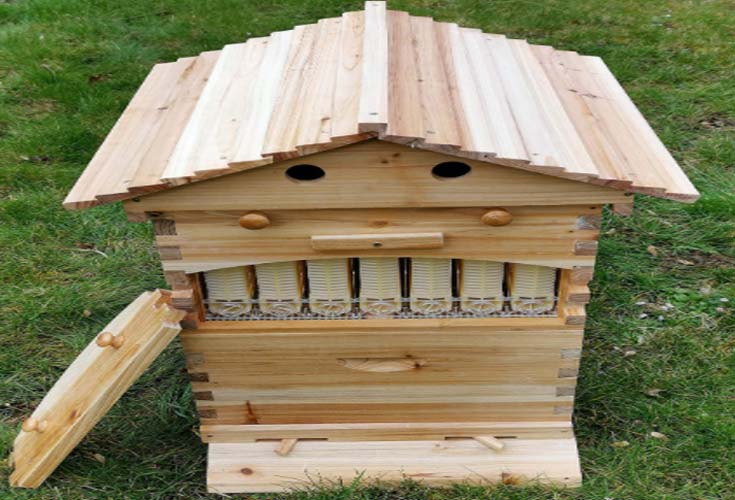 Holzbienenzucht Bienenkasten automatische Bienenbeute