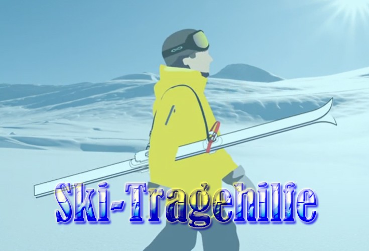 Ski-Tragehilfe
