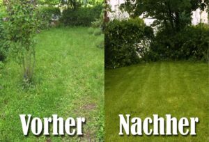 Rasen vertikutieren Eine SchrittfürSchrittAnleitung