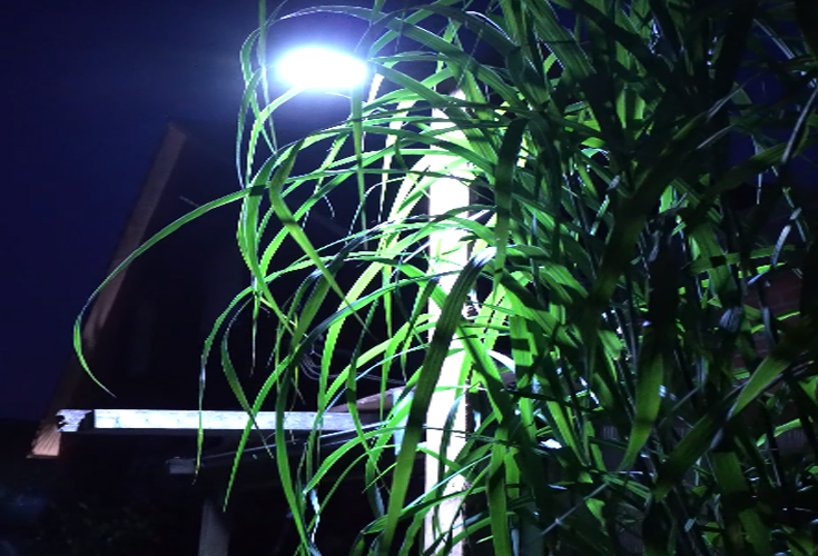 LED Solar Aussenlampen mit Bewegungsmelder bei Nacht